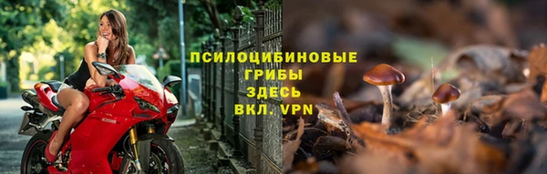 винт Кадников
