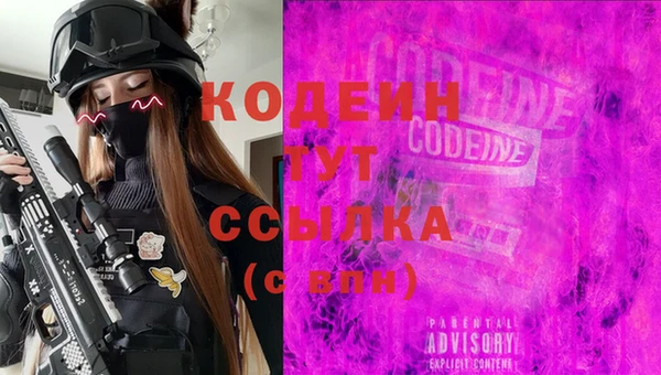 молекула духа Каменск-Шахтинский