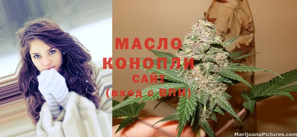 молекула духа Каменск-Шахтинский
