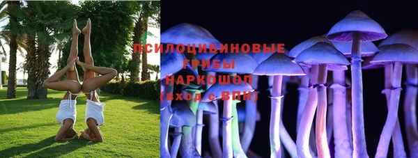 молекула духа Каменск-Шахтинский