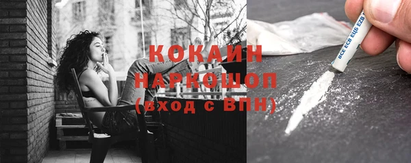 хмурый Каменка